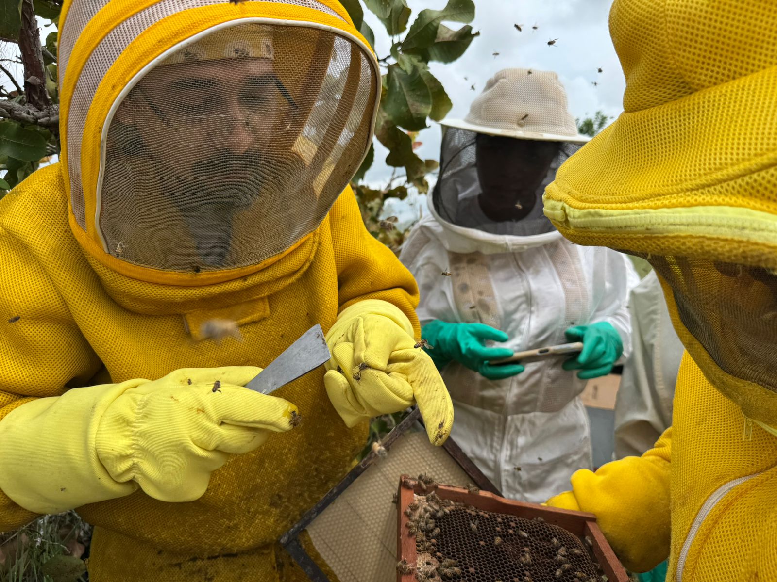 025cceeb f5d7 4a9a 9127 7256bf96cdb5