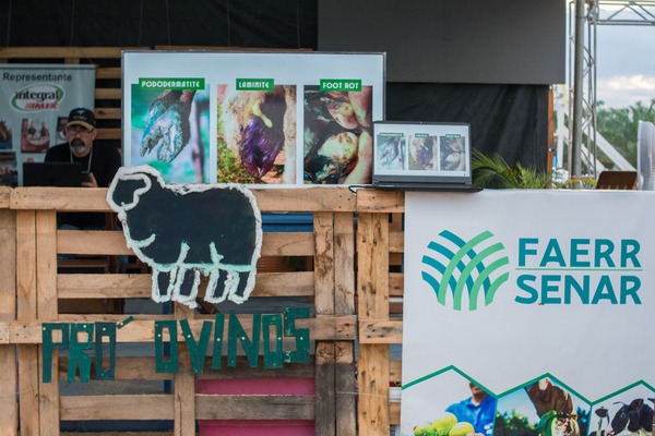 6095ea4b bd0a 4280 b8e5 f6ef997ebb64