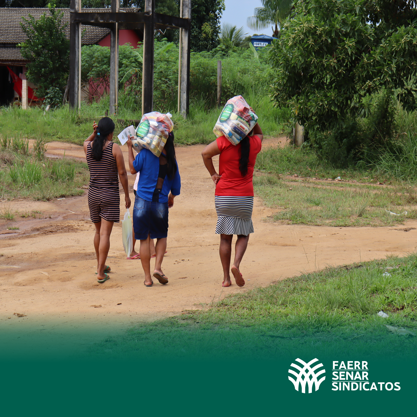 AGRO FRATERNO CANTA 6