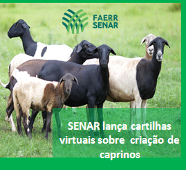 CARD CARTILHAS CAPRINOS2