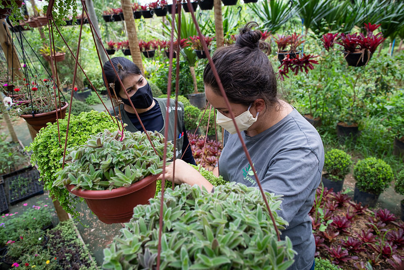 FaculdadeCNAvestibular