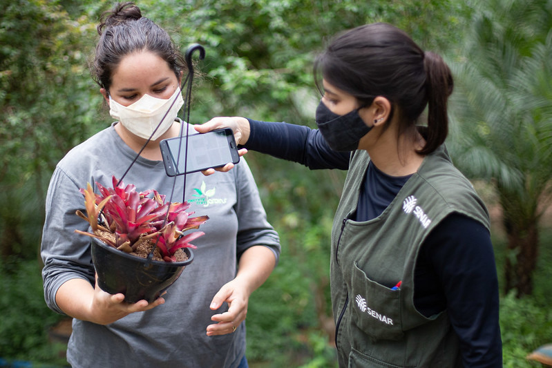 INOVACAO PEQUENOS E MEDIOS PRODUTORES