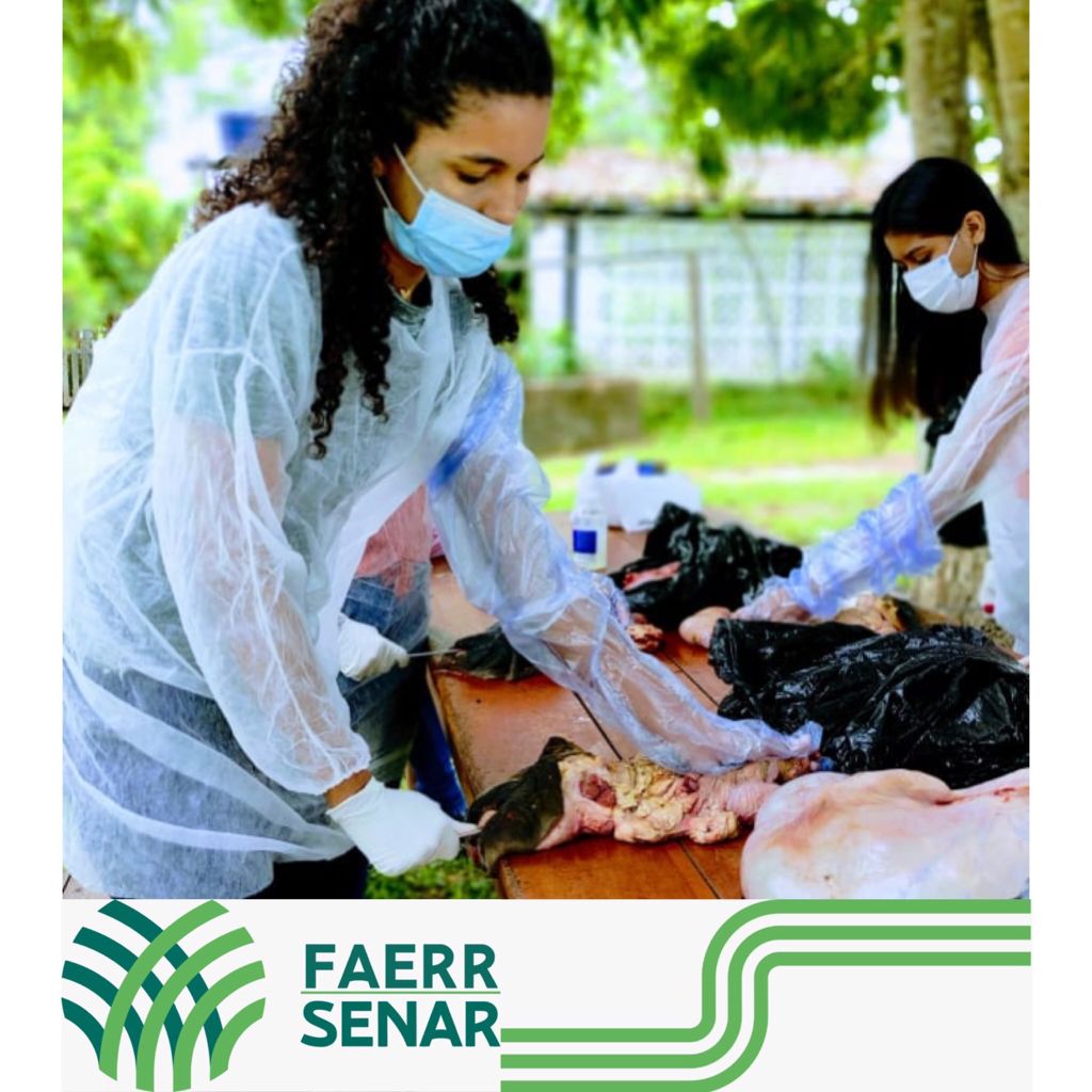 INSEMINACAO ARTIFICIAL BONFIM