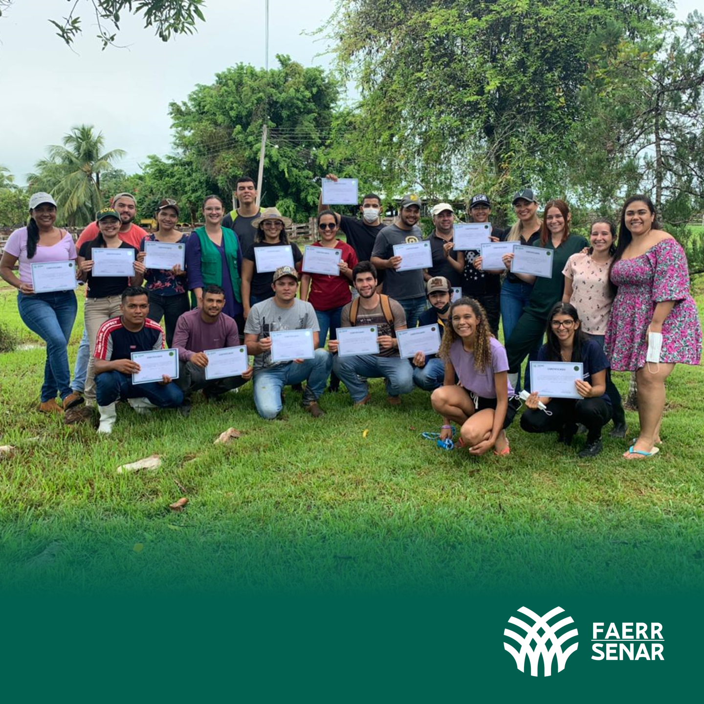 Inseminacao Artificial 4