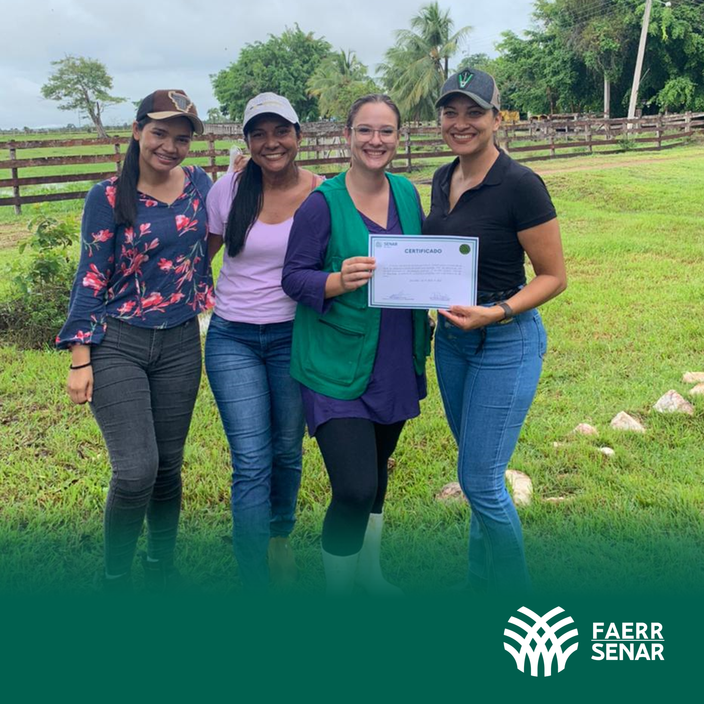 Inseminacao Artificial 6