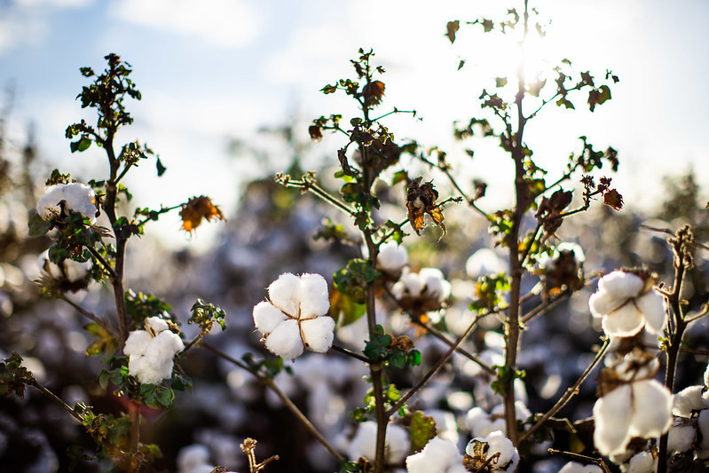 MINICURSOS GESTAO E SEGURANCA