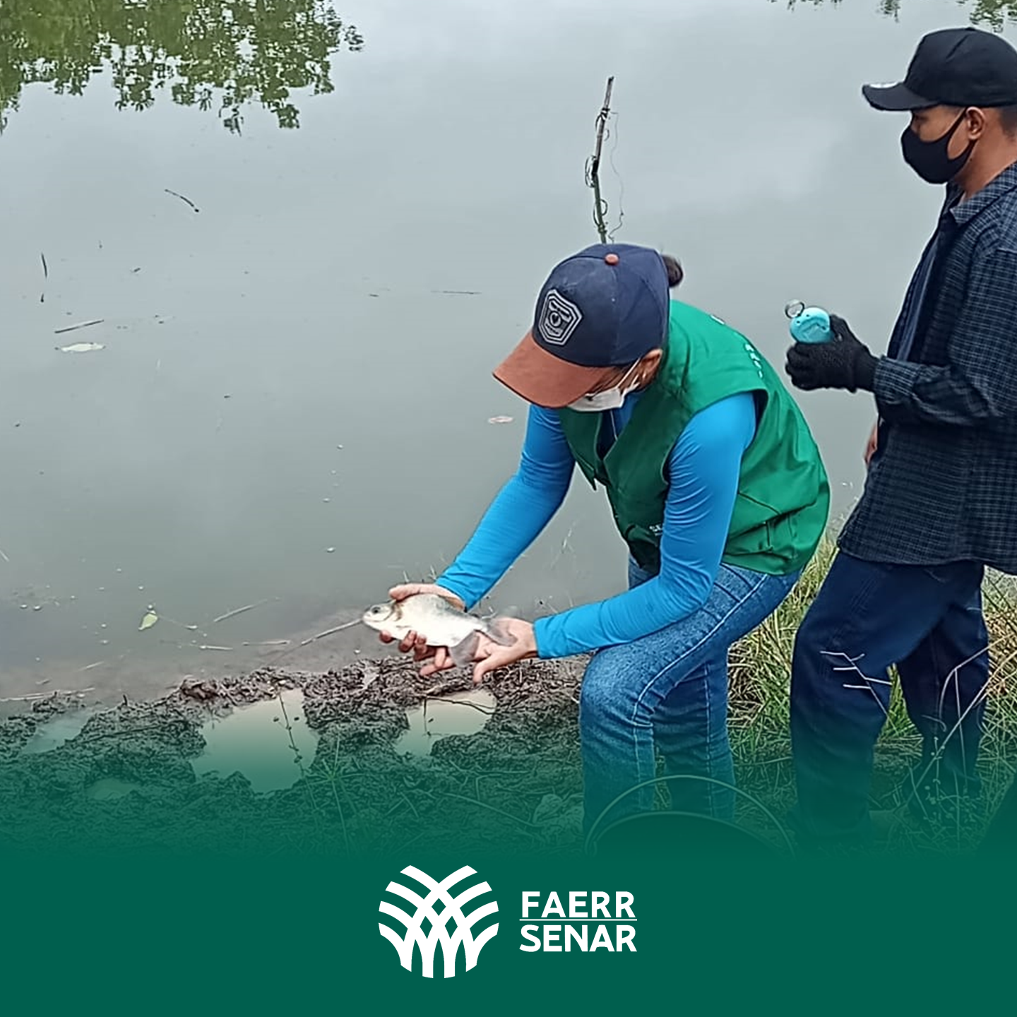 PISCICULTURA BASICA 4