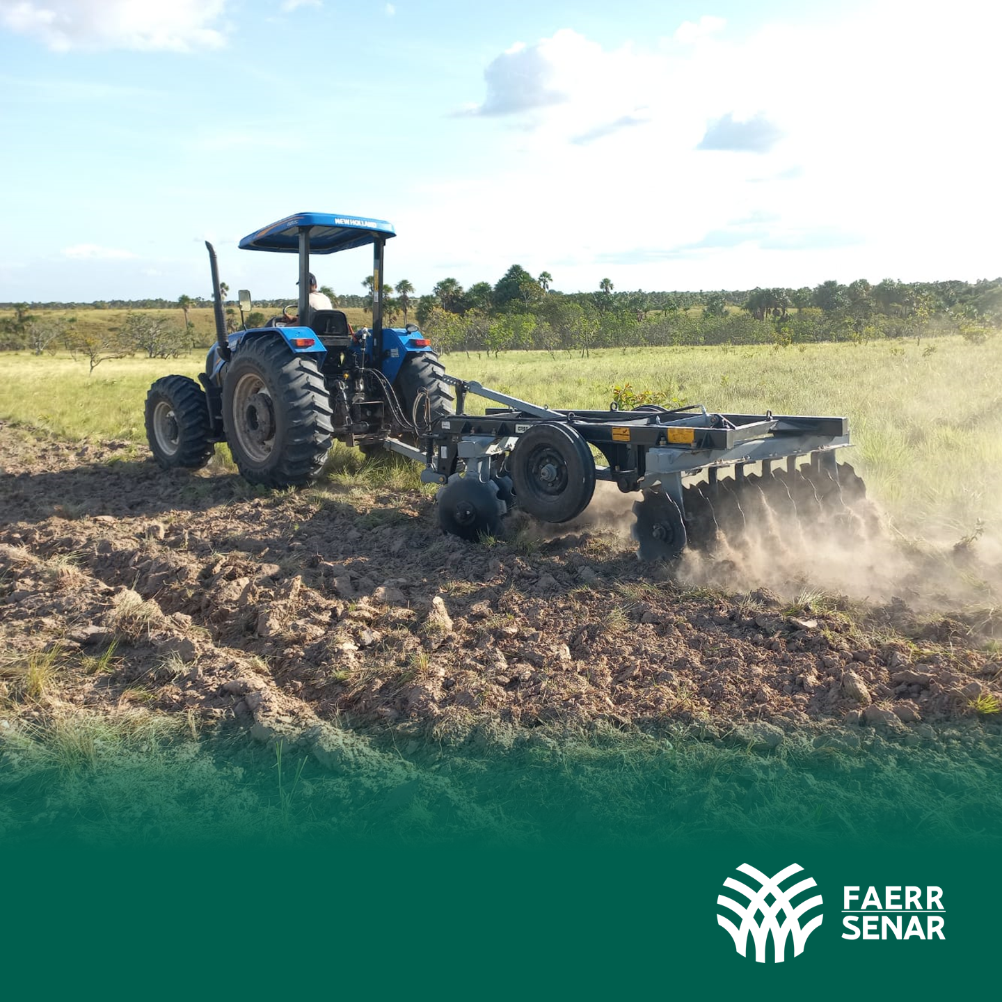 TRATORISTA AGRICOLA 6