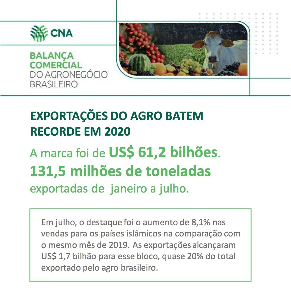 EXPORTACAO DO AGRO