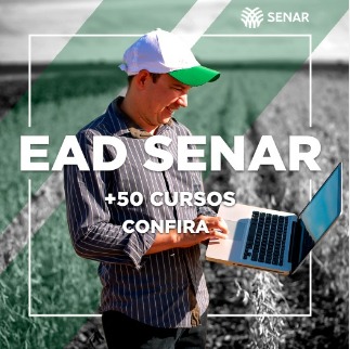 cursos ead