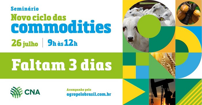 novo ciclo de commodities