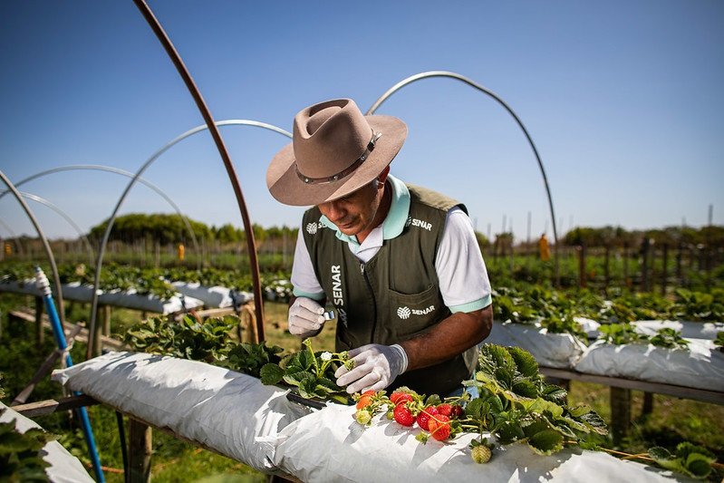 ultimos dias cursos tecnicos